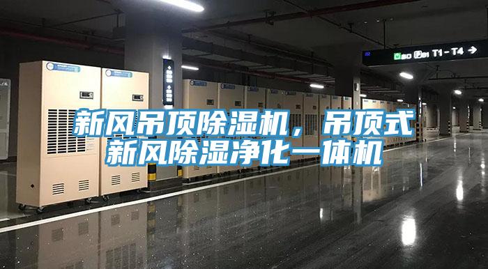 新風(fēng)吊頂除濕機(jī)，吊頂式新風(fēng)除濕凈化一體機(jī)