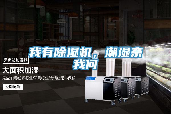 我有除濕機，潮濕奈我何