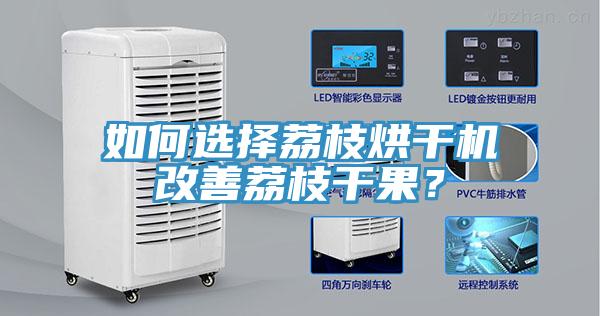 如何選擇荔枝烘干機(jī)改善荔枝干果？