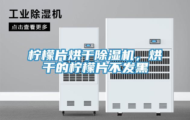 檸檬片烘干除濕機(jī)，烘干的檸檬片不發(fā)黑