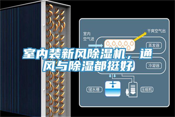 室內(nèi)裝新風除濕機，通風與除濕都挺好