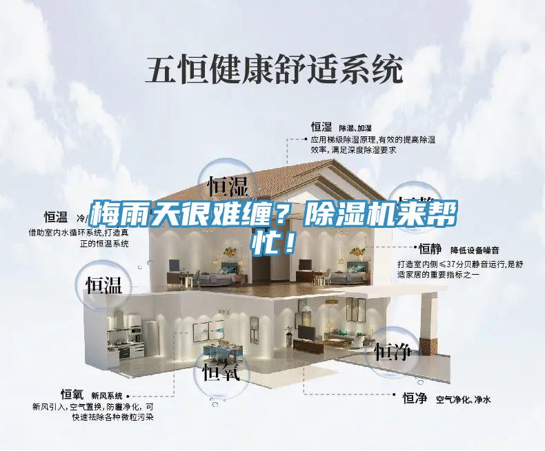 梅雨天很難纏？除濕機(jī)來幫忙！