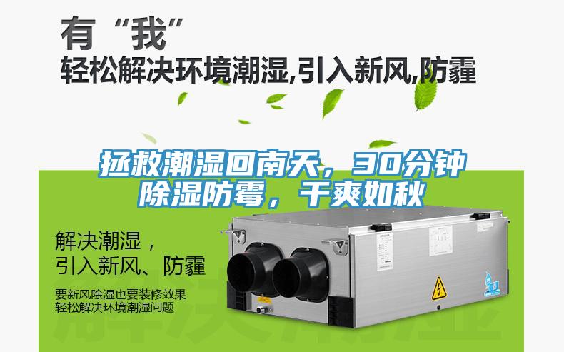 拯救潮濕回南天，30分鐘除濕防霉，干爽如秋