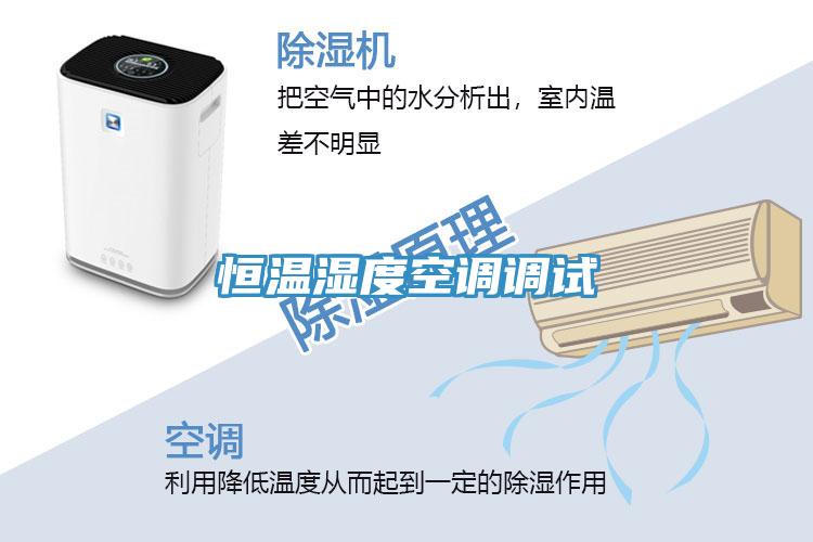 恒溫濕度空調(diào)調(diào)試