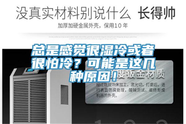 總是感覺很濕冷或者很怕冷？可能是這幾種原因！