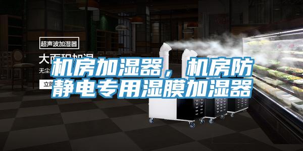 機(jī)房加濕器，機(jī)房防靜電專用濕膜加濕器