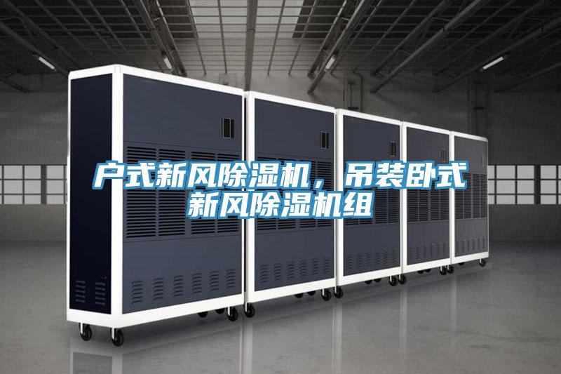 戶式新風(fēng)除濕機，吊裝臥式新風(fēng)除濕機組