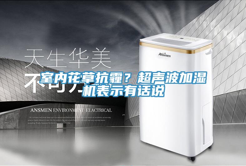 室內(nèi)花草抗霾？超聲波加濕機表示有話說