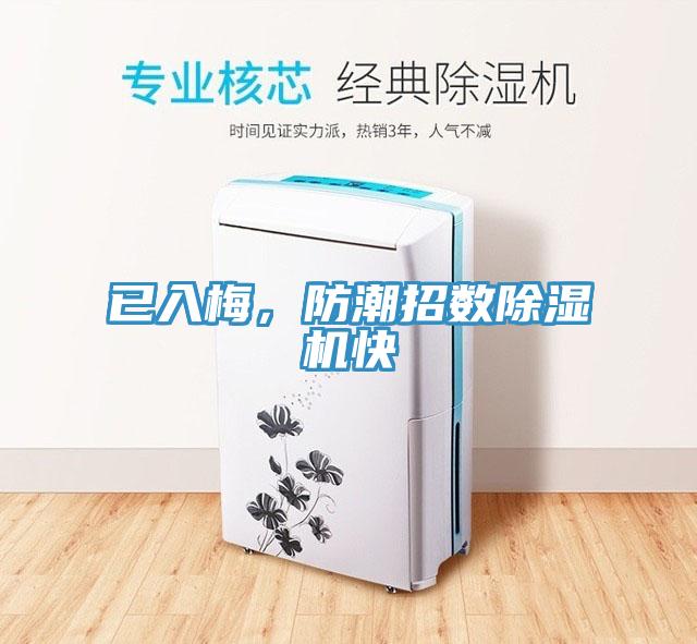 已入梅，防潮招數(shù)除濕機(jī)快