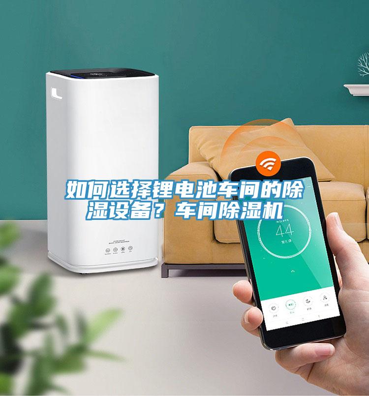 如何選擇鋰電池車間的除濕設(shè)備？車間除濕機(jī)