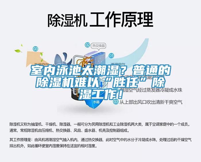 室內(nèi)泳池太潮濕？普通的除濕機(jī)難以“勝任”除濕工作！