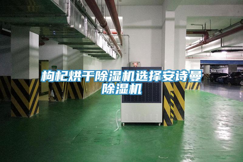 枸杞烘干除濕機(jī)選擇安詩曼除濕機(jī)