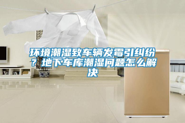 環(huán)境潮濕致車輛發(fā)霉引糾紛？地下車庫(kù)潮濕問題怎么解決