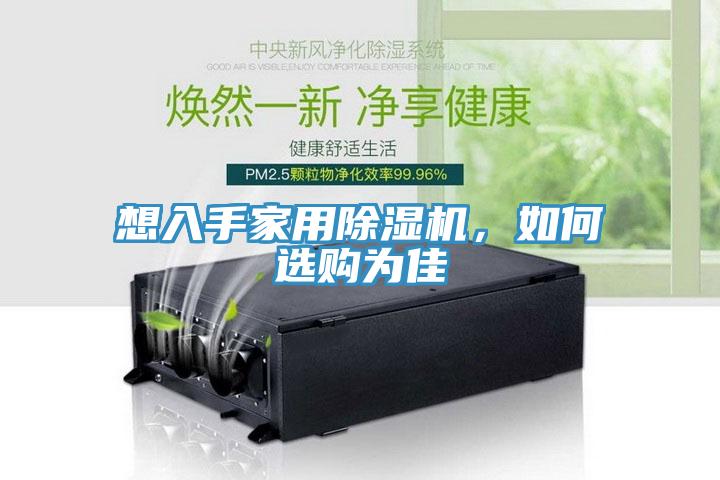 想入手家用除濕機，如何選購為佳
