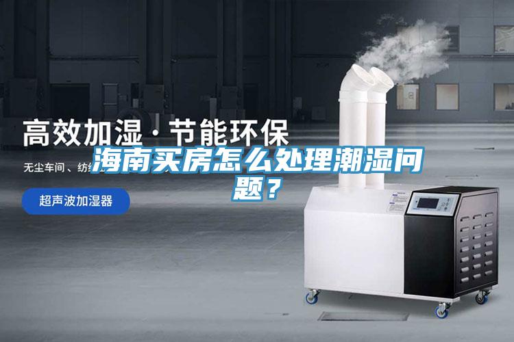 海南買(mǎi)房怎么處理潮濕問(wèn)題？
