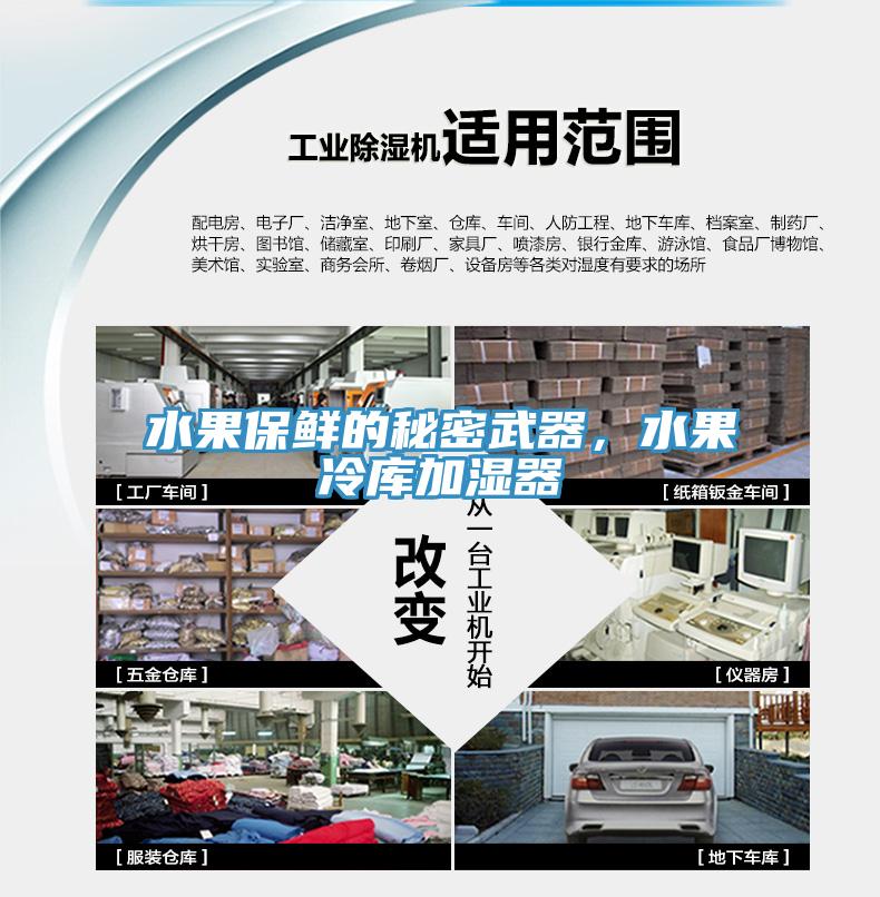 水果保鮮的秘密武器，水果冷庫加濕器