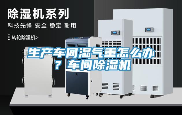 生產(chǎn)車間濕氣重怎么辦？車間除濕機