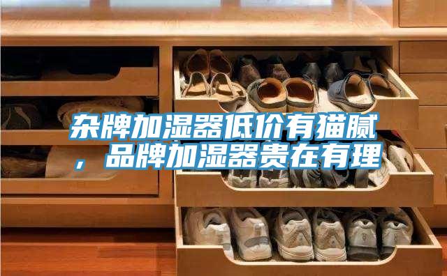 雜牌加濕器低價有貓膩，品牌加濕器貴在有理