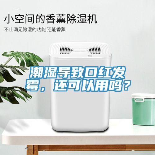 潮濕導(dǎo)致口紅發(fā)霉，還可以用嗎？