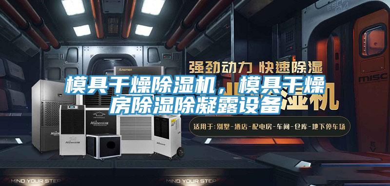 模具干燥除濕機，模具干燥房除濕除凝露設(shè)備