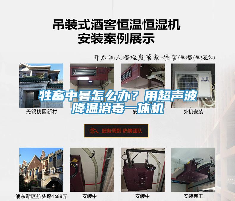 牲畜中暑怎么辦？用超聲波降溫消毒一體機(jī)