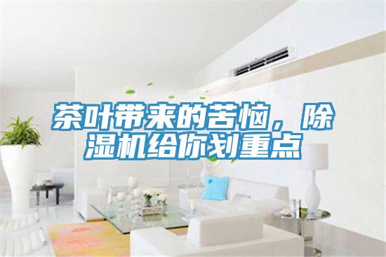 茶葉帶來的苦惱，除濕機給你劃重點