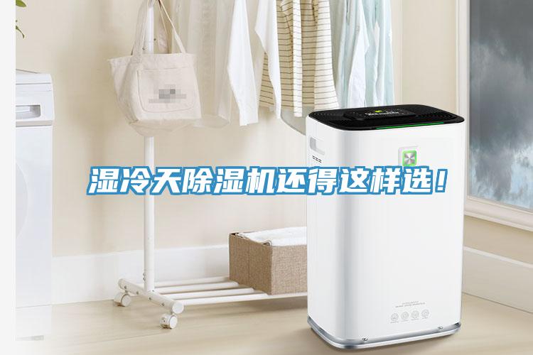 濕冷天除濕機還得這樣選！