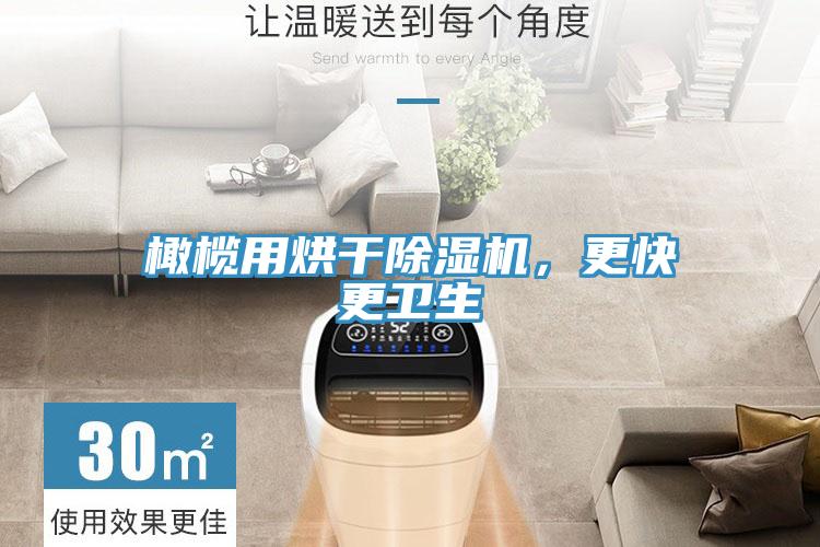 橄欖用烘干除濕機(jī)，更快更衛(wèi)生