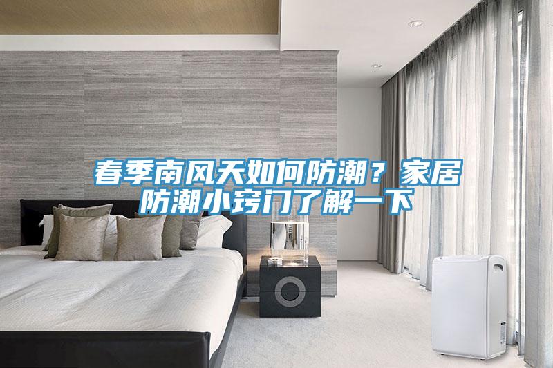 春季南風(fēng)天如何防潮？家居防潮小竅門了解一下