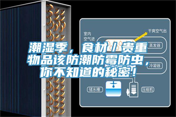 潮濕季，食材／貴重物品該防潮防霉防蟲(chóng)，你不知道的秘密！