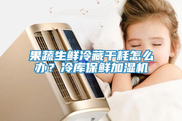 果蔬生鮮冷藏干耗怎么辦？冷庫保鮮加濕機