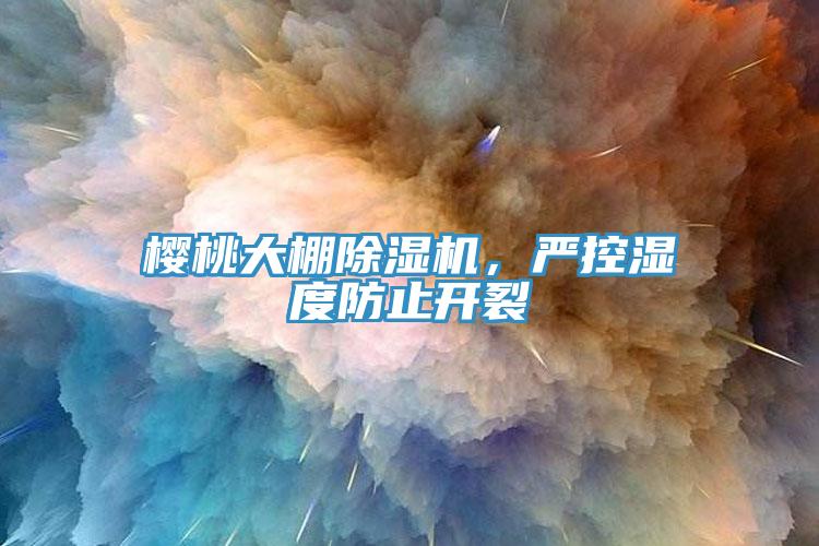 櫻桃大棚除濕機，嚴控濕度防止開裂