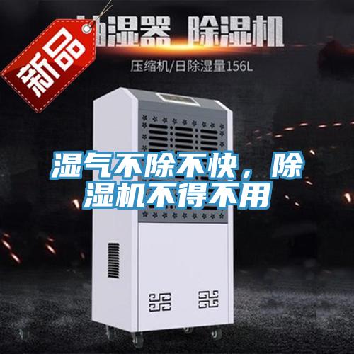 濕氣不除不快，除濕機不得不用