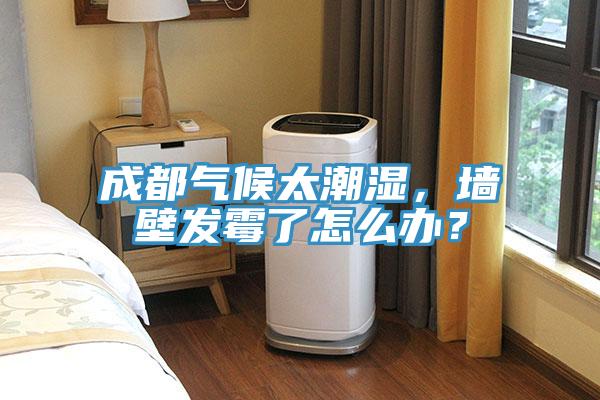 成都?xì)夂蛱睗瘢瑝Ρ诎l(fā)霉了怎么辦？