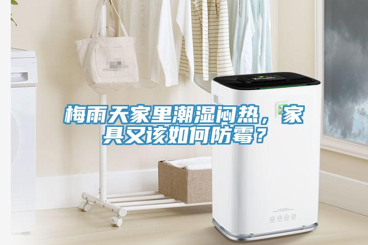 梅雨天家里潮濕悶熱，家具又該如何防霉？