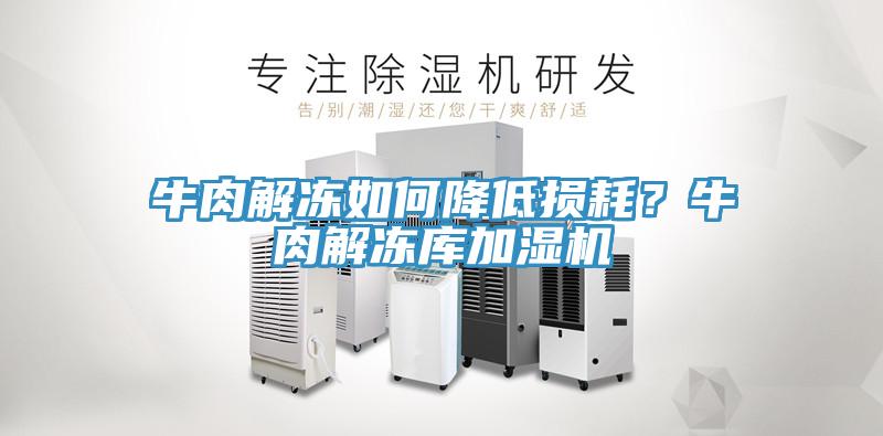 牛肉解凍如何降低損耗？牛肉解凍庫加濕機(jī)