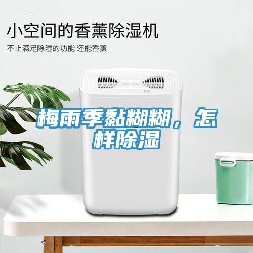 梅雨季黏糊糊，怎樣除濕