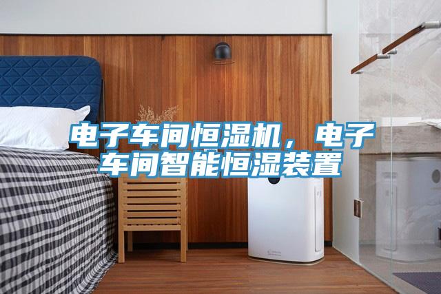 電子車(chē)間恒濕機(jī)，電子車(chē)間智能恒濕裝置