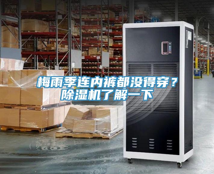 梅雨季連內(nèi)褲都沒得穿？除濕機(jī)了解一下