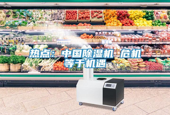 熱點(diǎn):中國除濕機(jī) 危機(jī)等于機(jī)遇