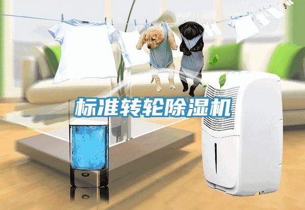 標準轉(zhuǎn)輪除濕機