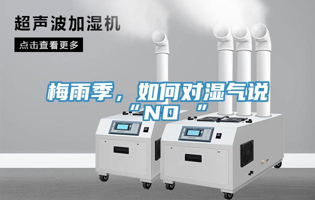梅雨季，如何對(duì)濕氣說(shuō)“NO ”