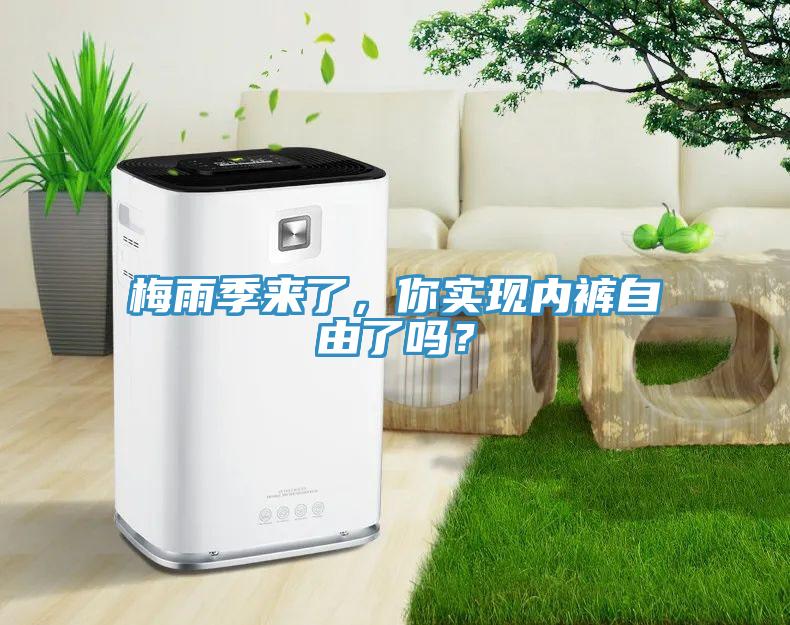 梅雨季來了，你實現(xiàn)內(nèi)褲自由了嗎？