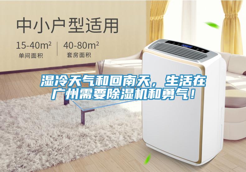 濕冷天氣和回南天，生活在廣州需要除濕機和勇氣！