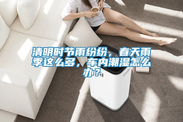 清明時(shí)節(jié)雨紛紛，春天雨季這么多，車內(nèi)潮濕怎么辦？