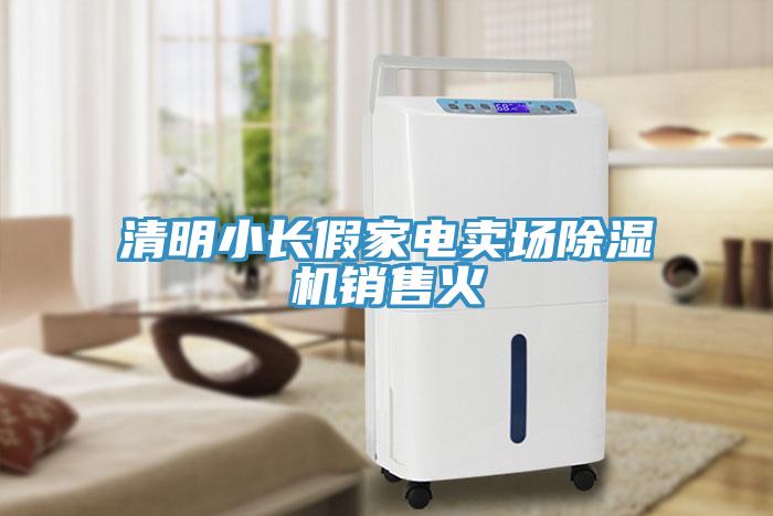 清明小長(zhǎng)假家電賣(mài)場(chǎng)除濕機(jī)銷(xiāo)售火