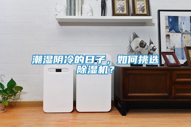 潮濕陰冷的日子，如何挑選除濕機(jī)？