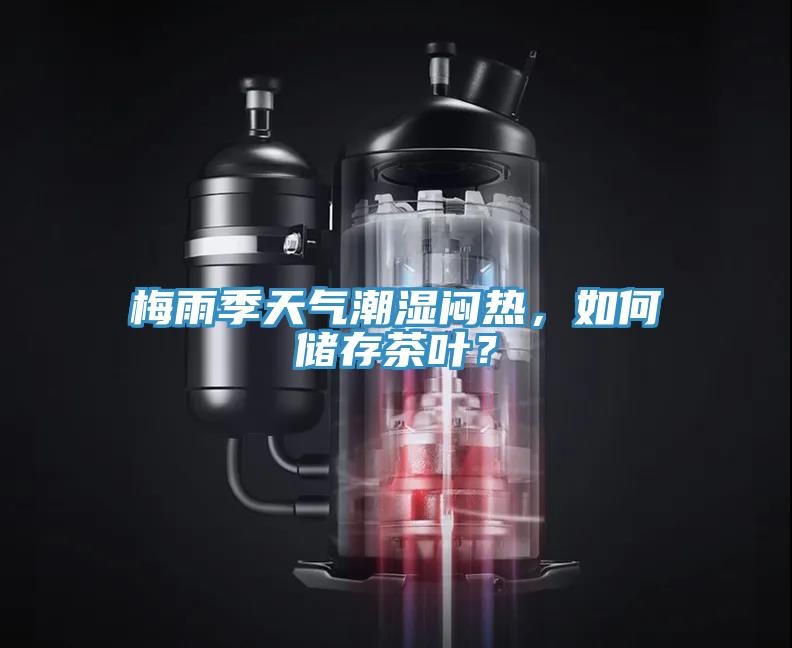 梅雨季天氣潮濕悶熱，如何儲存茶葉？