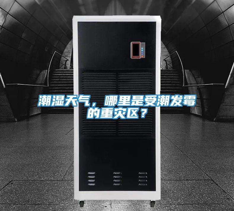 潮濕天氣，哪里是受潮發(fā)霉的重災區(qū)？