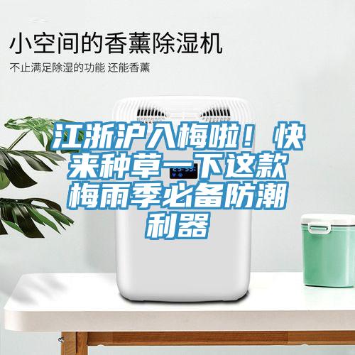 江浙滬入梅啦！快來種草一下這款梅雨季必備防潮利器